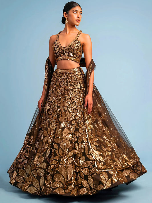 Brown Embroidery Net Lehenga Set