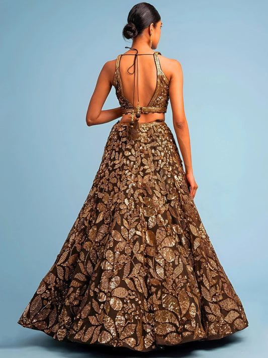 Brown Embroidery Net Lehenga Set