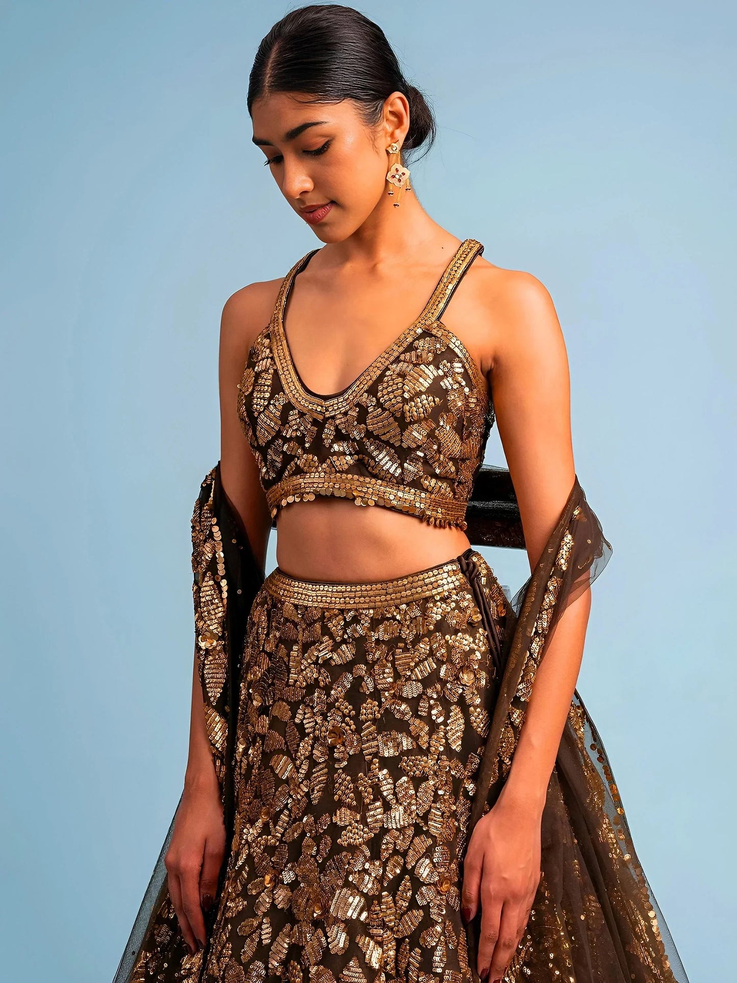 Brown Embroidery Net Lehenga Set