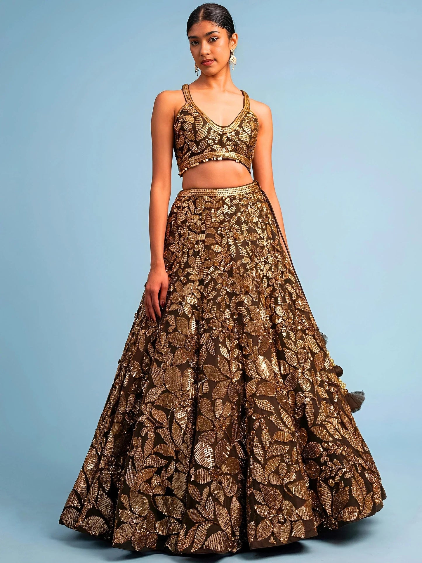 Brown Embroidery Net Lehenga Set