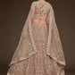 Champagne & Gold-Toned Embroidered Semi-Stitched Lehenga & Unstitched Blouse With Dupatta