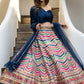 Multicolored Printed Lehenga Set