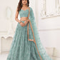 Butterfly Aqua Blue Lehenga Choli