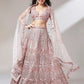 Rose Gold Net Mirror & Sequins embroidery Semi-Stitched Lehenga choli & Dupatta