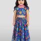 Blue Organza Wedding Wear Girls Lehenga Choli Set Lehenga