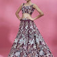 Wine/Olive Green Net Multi-Sequins Engagement Wear Lehenga Choli