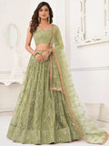 Butterfly Mehendi Lehenga Choli