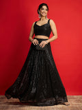 Women Sequins Sleeveless Crop Top With Anarkali Skirt