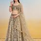 Alluring Brown Net Thread Embroidered Reception Wear Lehenga Choli