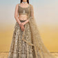 Alluring Brown Net Thread Embroidered Reception Wear Lehenga Choli