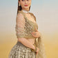 Alluring Brown Net Thread Embroidered Reception Wear Lehenga Choli