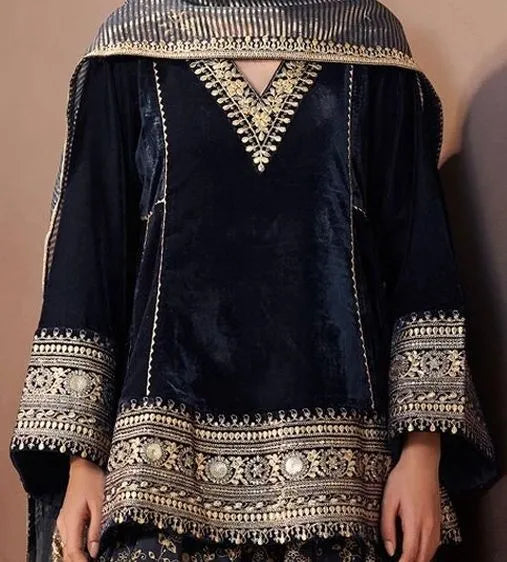 Women Ethnic Motifs Embroidered Regular Velvet Kurta with Farshi & With Dupatta