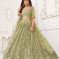 Butterfly Mehendi Lehenga Choli
