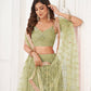 Butterfly Mehendi Lehenga Choli
