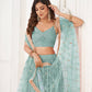 Butterfly Aqua Blue Lehenga Choli