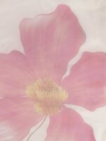 Tikhi Imli White & Pink Organza Printed Saree - Image 3