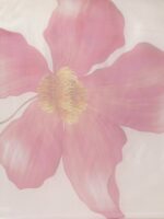 Tikhi Imli White & Pink Organza Printed Saree - Image 4