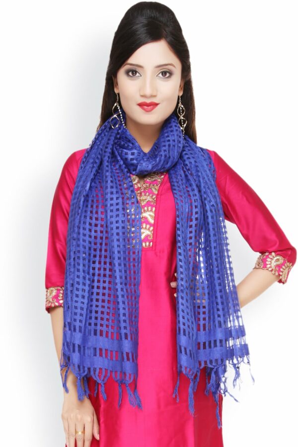 Dupatta Bazaar Blue Stole