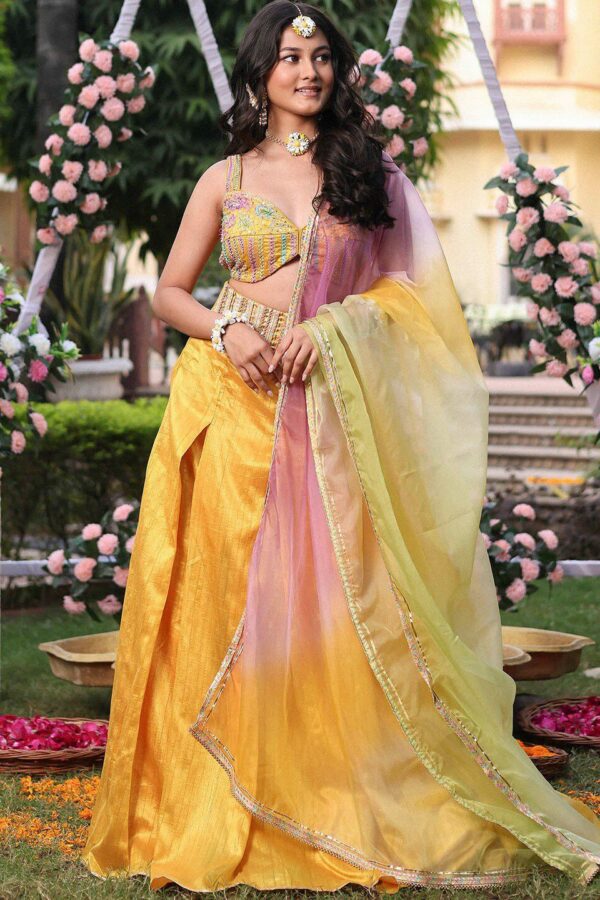 Lavanya The Label Embroidered Ready to Wear Lehenga & Blouse With Dupatta