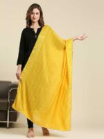 Dupatta Bazaar Striped Dupatta with Sequinned