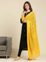 Dupatta Bazaar Striped Dupatta with Sequinned - Image 3