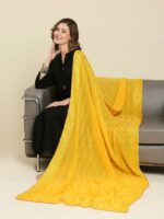 Dupatta Bazaar Striped Dupatta with Sequinned - Image 5