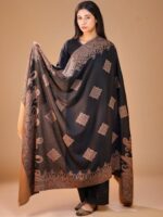 SWI Stylish Women Ethnic Motifs Woven Design Shawl