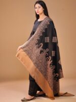 SWI Stylish Women Ethnic Motifs Woven Design Shawl - Image 3
