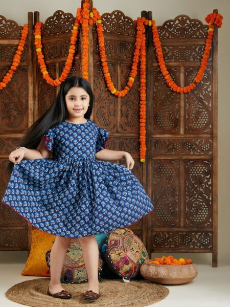 Girl's Blue Printed Frock
